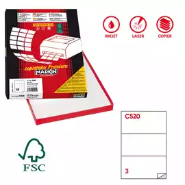 Etichette adesive C 520 in carta permanenti 210x99mm 3 et fg 100...