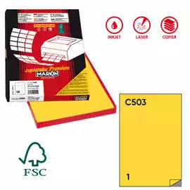 Etichette adesive C 503 in carta permanenti 210x297mm 1 et fg 100...