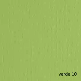 Cartoncino Elle Erre 70x100cm 220gr verde pisello 110  blister 10...