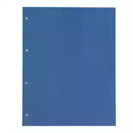 Separatori cartoncino Manilla 200gr 22x30cm azzurro Cartotecnica del...
