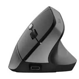 Mouse ergonomico wireless Bayo II 