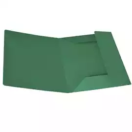 Cartellina 3 lembi 200gr cartoncino bristol verde  conf. 25 pezzi