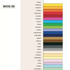 Cartoncino Bristol Color 70x100cm 200gr arancio 56 Favini conf. 10 pezzi