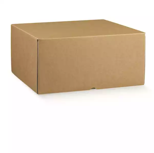 Scatola box per asporto linea Marmotta 30x40x19,5cm avana Scotton