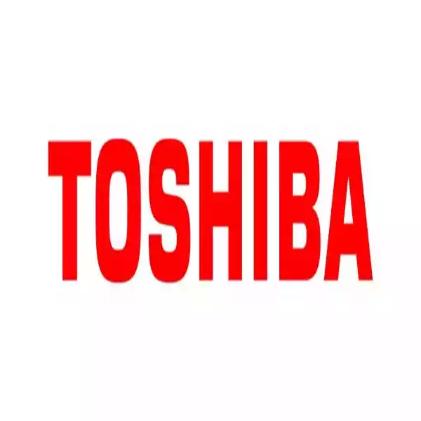Toshiba Toner Nero 6AJ00000257 43.900 pag