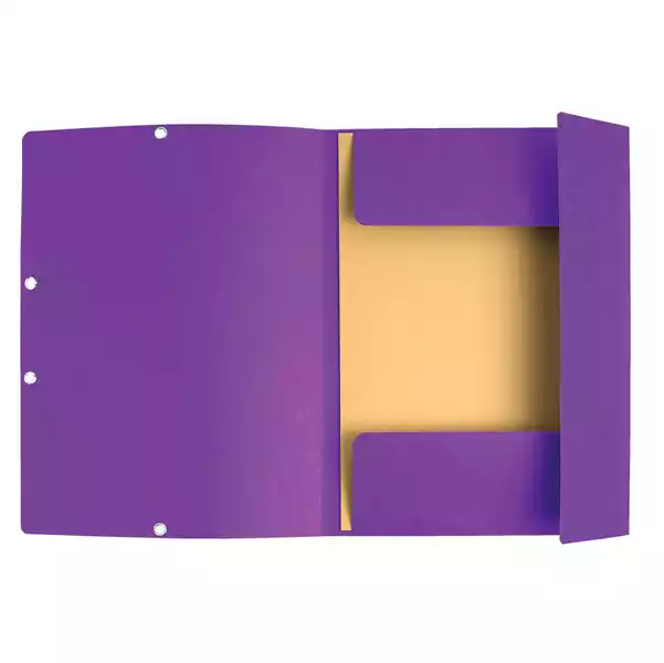 Cartellina con elastico cartoncino lustrE' 3 lembi 400gr 24x32cm viola Exacompta
