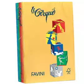 Carta Le Cirque A4 80gr mix 5 colori intensi Favini conf. 500 fogli