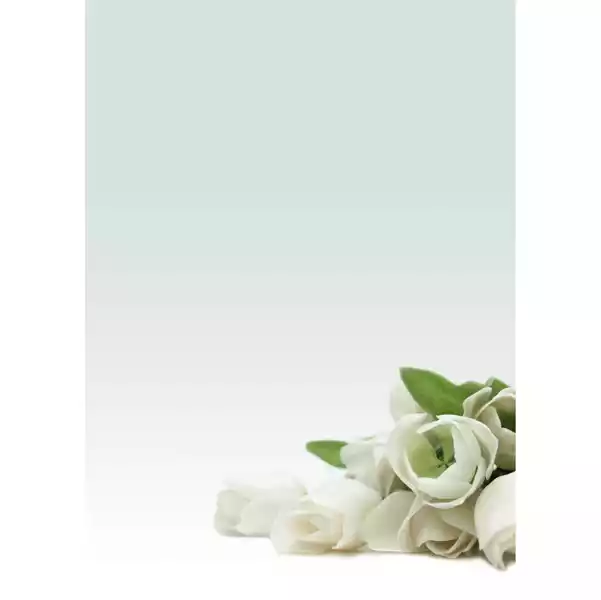 Carta con stampa ''rosa bianca'' A4 90gr Decadry conf. 20 fogli